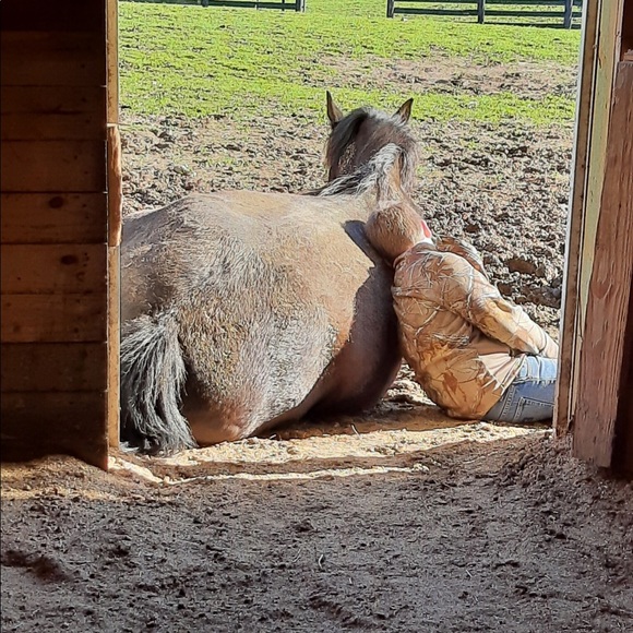 Meet your Posher, Julie - Picture 2 of 14